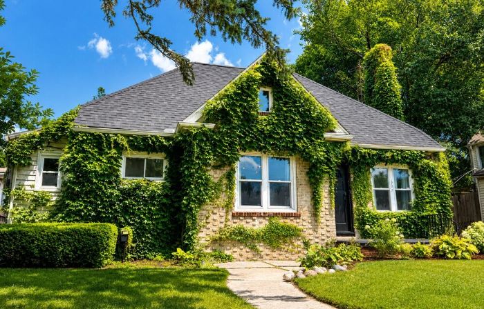 Cozy Home in College Cultural