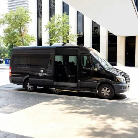 The Whitehall Houston