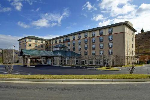 HIlton Garden Inn Roanoke - 3-Star