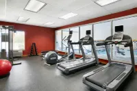 Hilton Garden Inn Allentown West - Gym