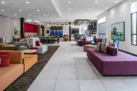 Hilton Garden Inn Detroit Utica - Pet friendly