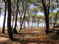 Monolocale - Ranch Hotel
