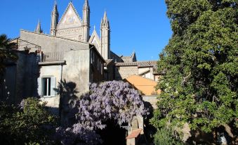 The Window on the Cathedral -Suite