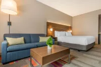 Holiday Inn Express & Suites ST. Petersburg - Madeira Beach