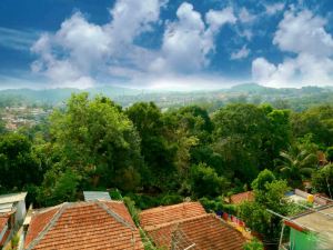 Holidayincoorg Shady Fern