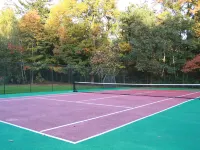 2+