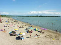 Belvedere Pineta Camping Village - Homestays