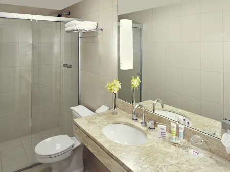 Mercure Sao Paulo Paulista