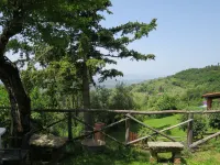Belvedere - Farmhouses