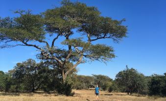 Umkhumbi Lodge