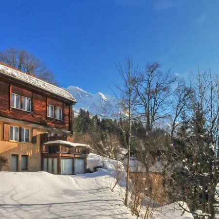 Schweizerhof Apt. S