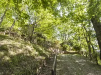 Cottage Contadina