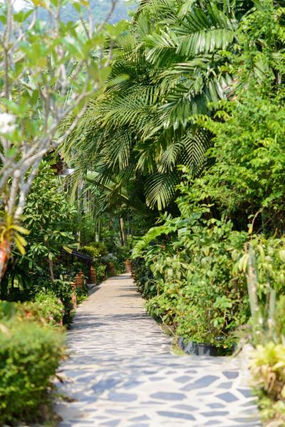 庭 ザ リーフ オーシャンサイド リゾートの写真