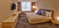 Galeria Plaza Irapuato Hotels in Irapuato