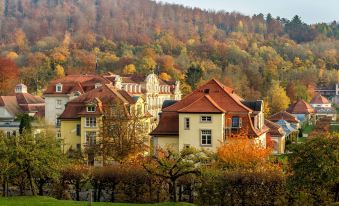Dorint Resort & Spa Bad Brückenau
