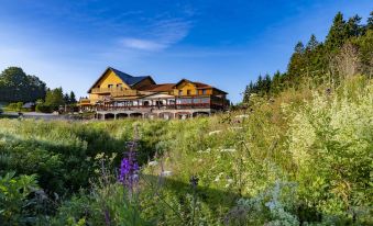 Hotel Restaurant Mont Champ du Feu