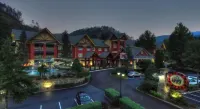 The Appy Lodge - Rooftop Pools