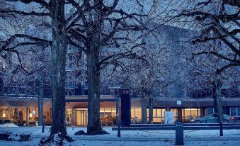 Hotel Seepark Thun