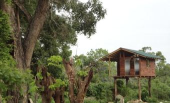 Sigiri Forest View