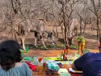 Wielewaal Bush Lodge - فطور