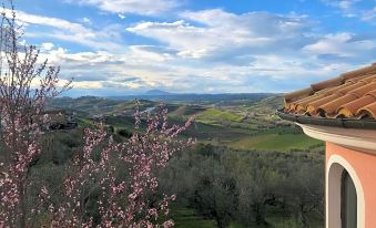 Ellebì B&B