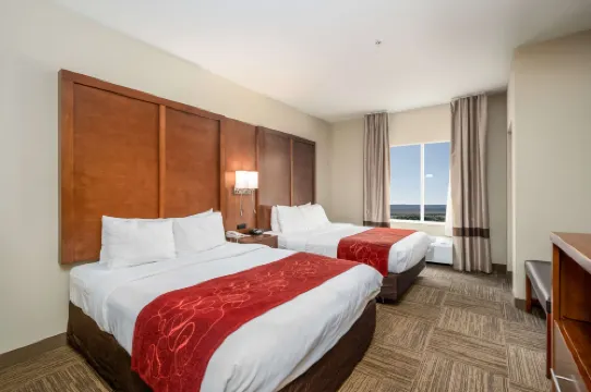 Comfort Suites University