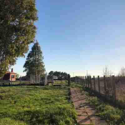 La Villetta Senza Tempo - Pet&Family Friendly Relax Villa with Garden & BBQ Near Rome Others
