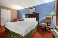 Dutchland Motel - Parkplatz