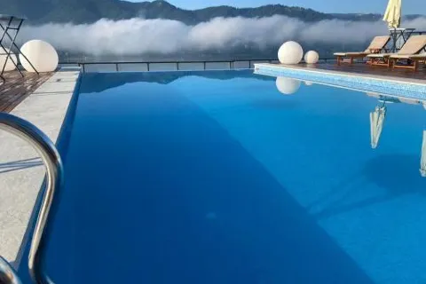 Panoramic Colibita