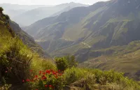 라 그랑하 델 콜카 Caylloma Province 호텔