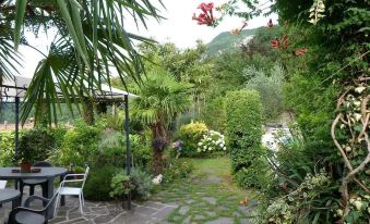 a lush garden with a variety of plants and trees , as well as a stone walkway leading to a house at Villa Margherita