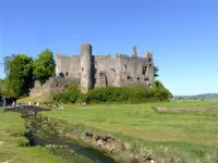 Dylan's Court