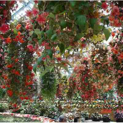 ホテル ナガシマ Hotel Exterior