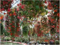 Hotel Nagashima Hotels in Kuwana