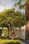 Dive Palm Springs - صديق للحيوانات الاليفة