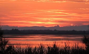 Hotel les Palmiers En Camargue