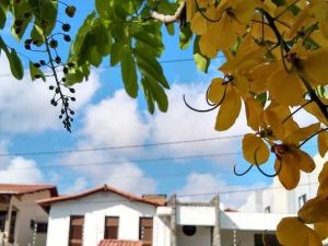 Conceitual Hostel Natal