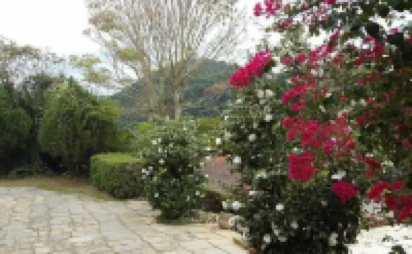 西提歐蘇西哥旅館