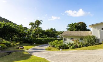 a winding driveway leads to a white house surrounded by lush green trees and bushes at Siesta Hotel