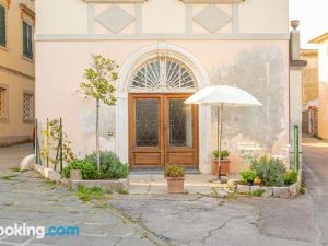 Aromatic Green House