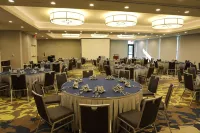 Hilton Garden Inn Austin Airport Hotels in Montopolis