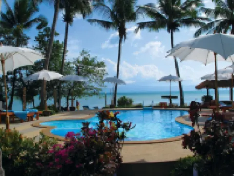 モーニング スター リゾート