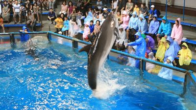 ホテル周辺 登別万世閣の写真