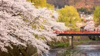 Backpackers Jinya