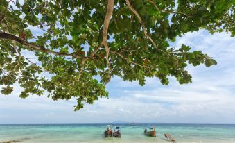 Bodega Koh Phi Phi