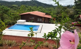 Jaco-Carara 3 Bdrm Surrounded by Rainforest with Private Pool