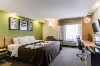 Rodeway Inn at Six Flags 오스틀 호텔