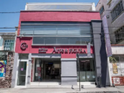 Hotel del Arte y Figura Hotels in Leon