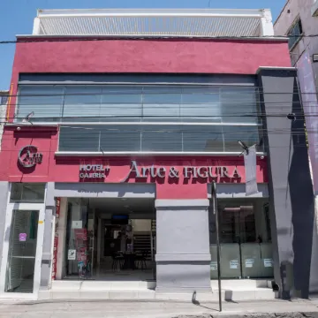 Hotel del Arte y Figura