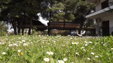 Studios & Apartments Pefka